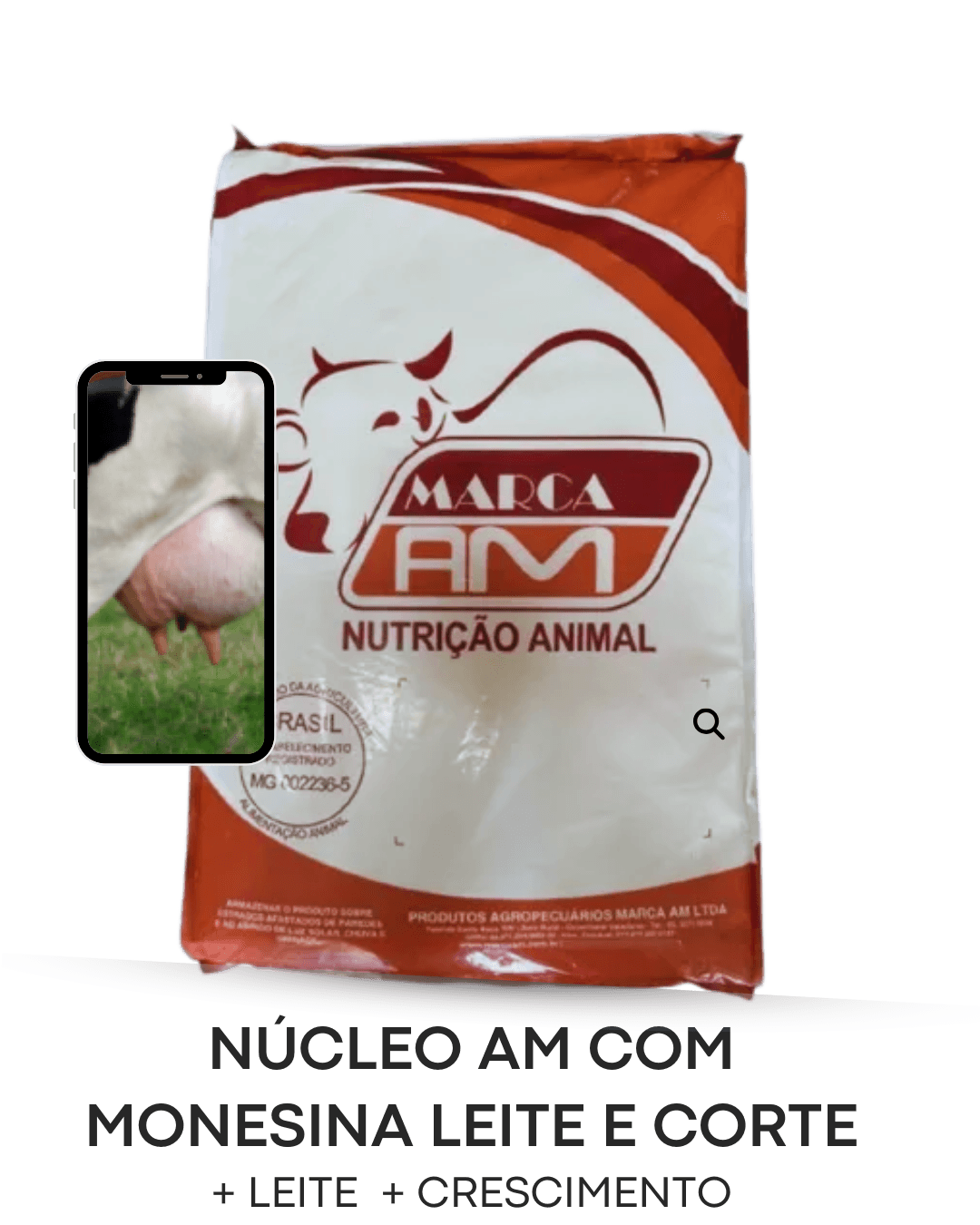 Núcleo AM com Monesina Leite e Corte