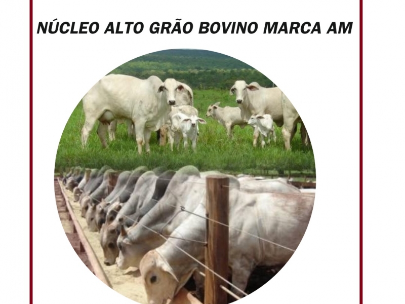 NÚCLEO ALTO GRÃO MARCA AM PARA BOVINOS CORTE E LEITE 25 kg