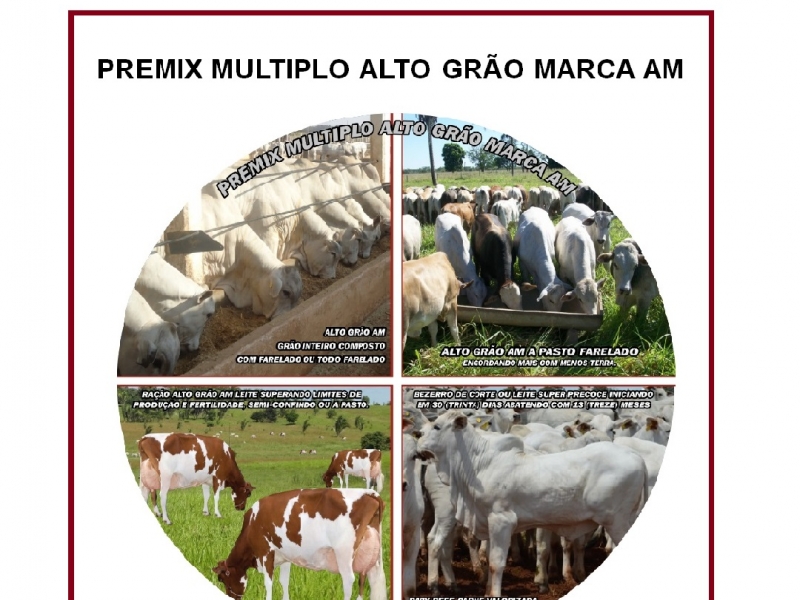 PREMIX MÚLTIPLO ALTO GRÃO AM 25 kg (FRETE GRATIS BRASIL, REGIÃO NORTE CONSULTAR)