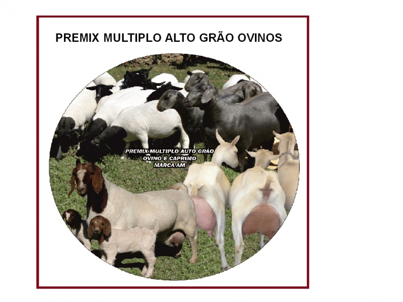 PREMIX MULTIPLO ALTO GRÃO OVINO E CAPRINO MARCA AM 20 kg